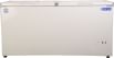 Bluestar CHF500A 500 L Double Door Deep Freezer