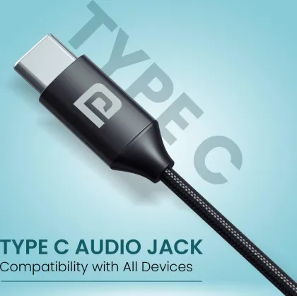Portronics Conch Z ANC Type-C Wired Earphones