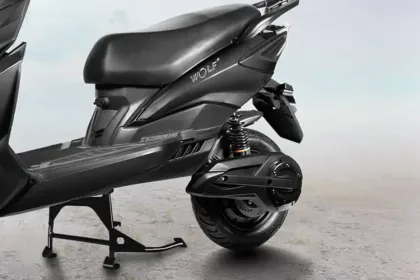 Joy e-Bike Wolf Plus