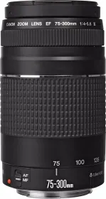 Canon EF 75-300 mm f/4-5.6 III Telephoto Zoom Lens