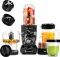 Wonderchef Nutri Blend CKM 500W Mixer Grinder