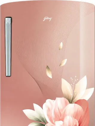 Godrej RD EMARVEL 230EN TDI RS BM 207 L 5 Star Single Door Refrigerator