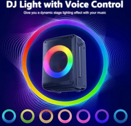 JYX FF-D13 20W Bluetooth Speaker