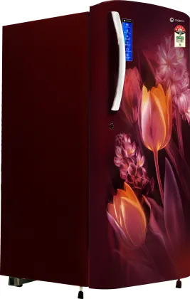 Motorola 180BD5MR25-R 180 L 5 Star Double Door Refrigerator