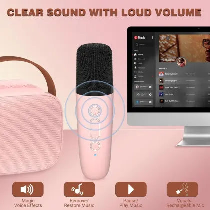 Audio Array AM-W18 Wireless Karaoke Speaker