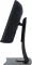 ViewSonic VP3881a 38 inch WQHD+ Monitor