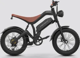 EMotorad Viper Electric Cycle