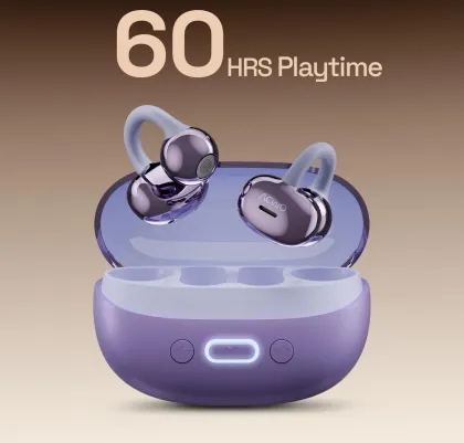 ACwO DwOTS Flow 2 True Wireless Earbuds