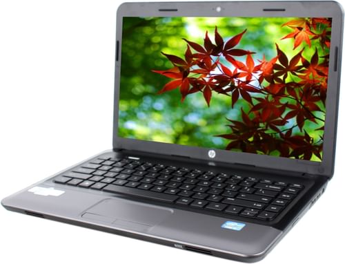 HP 455 Laptop (APU Dual Core/ 2GB/ 500GB/ DOS)