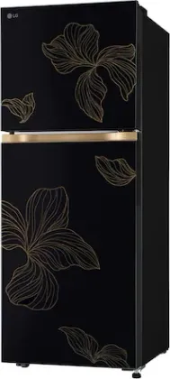 LG GL-S252ZROY 225 L 2 Star Double Door Refrigerator