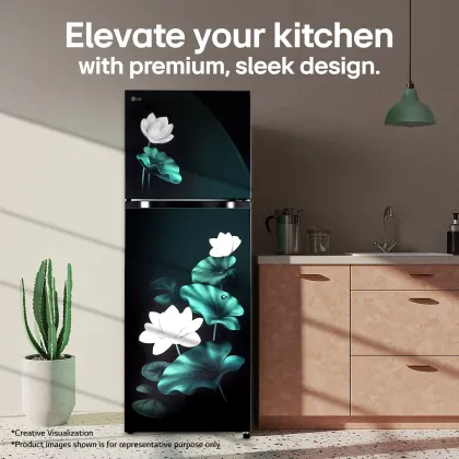 LG GLT2526XWEL 251 L 2 Star Double Door Refrigerator