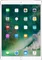 Apple iPad Pro 10.5 (WiFi+256GB)