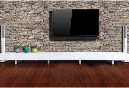 Toshiba 32P2400 81cm (32) LED TV (HD Ready)