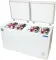 Blue Star CHFDD300MGPW 301 L Double Door Deep Freezer