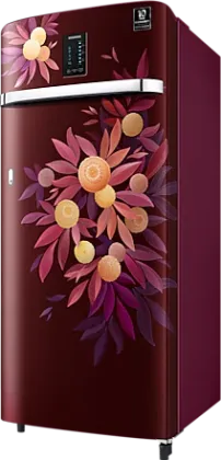 Samsung RR23C2E24NJ 215 L 4 Star Single Door Refrigerator