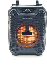 Fire Turtle FT-577 10W Bluetooth Speaker