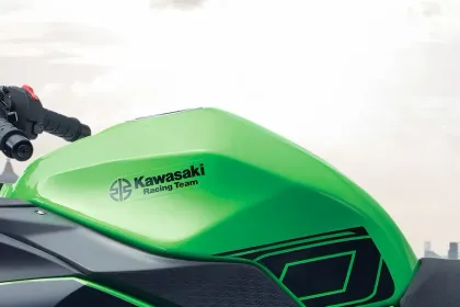 Kawasaki Ninja 300