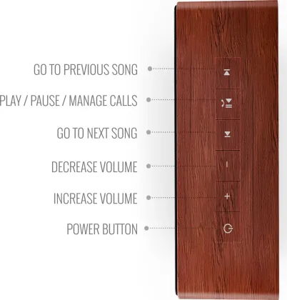 Saregama Carvaan Mini Plus 5W Bluetooth Speaker