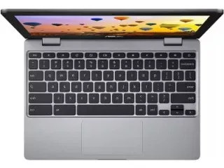 Asus Chromebook C223NA-DH02 Laptop (Celeron Dual Core/ 4GB/ 32GB SSD/ Chrome OS)