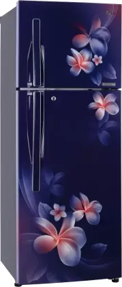 LG GL-T322RBPN 308L 4 Star Double Door Refrigerator