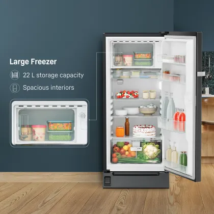 Liebherr DFBbsD 1925 191 L 4 Star Single Door Refrigerator