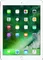 Apple iPad 9.7 2017 (WiFi+32GB)