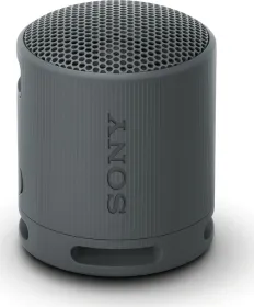 Sony SRS-XB100 Portable Bluetooth Speaker