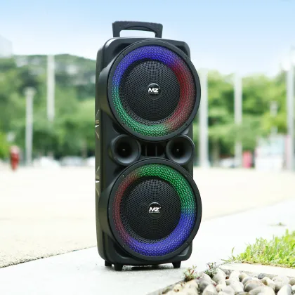 MZ M309 20W Bluetooth Speaker