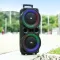 MZ M309 20W Bluetooth Speaker