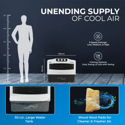 RR Grandeur 50 L Window Air Cooler