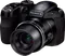 Fujifilm FinePix S2980 Point & Shoot
