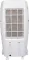 Maharaja Whiteline CO-101 20 L Personal Air Cooler