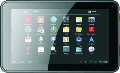 Micromax Funbook Alpha P250 WiFi (4GB)