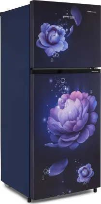Voltas Beko RFF280C/2WPBBR0I0000GOP 243 L 2 Star Double Door Refrigerator