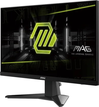 MSI MAG 256F 25 inch Full HD Gaming Monitor