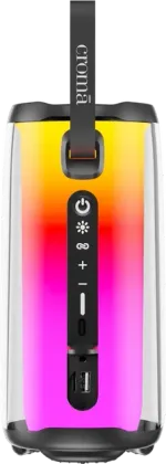 Croma CRSP010BPE301506 10W Bluetooth Speaker