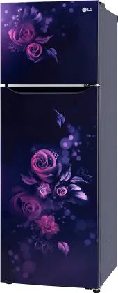 LG GL-S312SBEY 272 L 2 Star Double Door Refrigerator