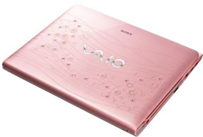 Sony VAIO E14A25CN Laptop (3rd Gen Ci5/ 4GB/ 750GB/ Win8/ 2GB Graph)