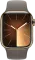 Apple Watch Series 9 41mm Stainless Steel (GPS + Cellular)