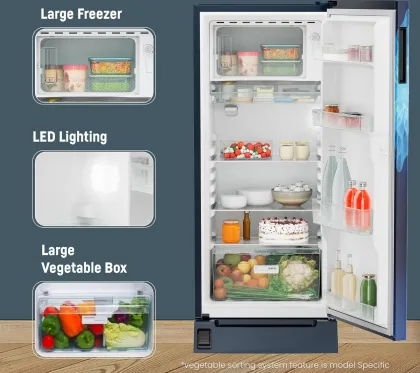 Liebherr DFPlmE 2031 202 L 5 Star Single Door Refrigerator