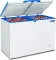 Blue Star CHFDD300DGSW 284 L Double Door Deep Freezer