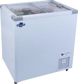 Rockwell SFR250GT 236 L Double Glass Door Deep Freezer