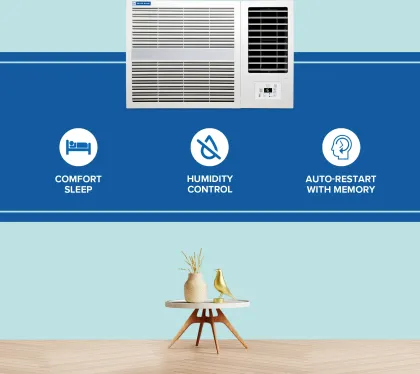 Blue Star WFE324E 2 Ton 3 Star 2025 Window AC