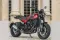 Benelli Leoncino 500