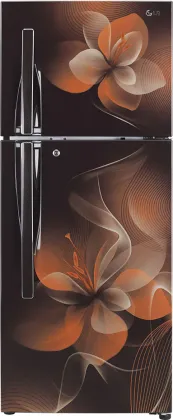 LG GL-T292RHDY 260 L 2 Star Double Door Convertible Refrigerator