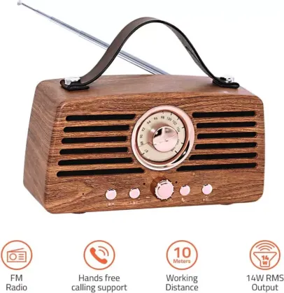 Artis BT45 14 W Bluetooth Speaker