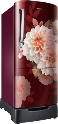 Samsung RR20F2825BR 183 L 5 Star Single Door Refrigerator