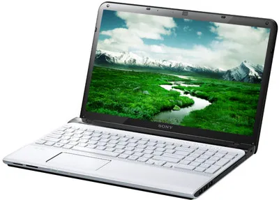 Sony VAIO E15135 Laptop (3rd Gen Ci3/ 4GB/ 500GB/ Win8/ 1GB Graph)