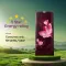 Godrej RD 195E TAF 185 L 5 Star Single Door Refrigerator