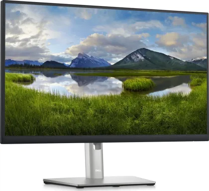 Dell P2423DE 24 inch Quad HD Monitor